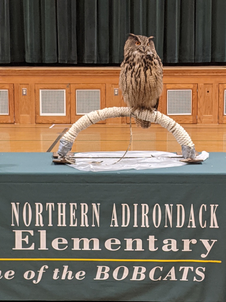 Live Feed Northern Adirondack CSD